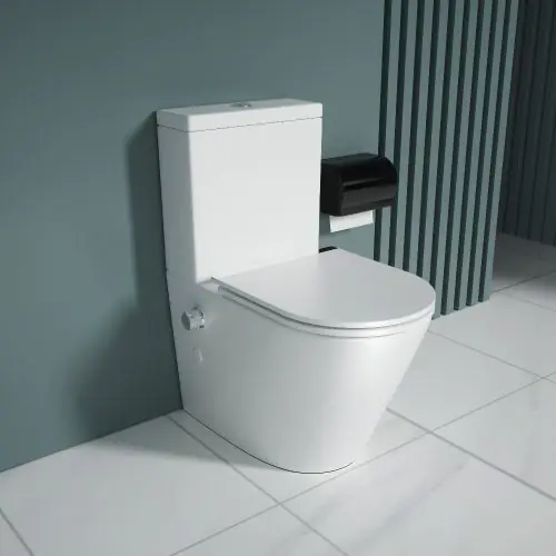 Durovin Bathrooms Close Coupled Toilet With Bidet All in One Back to Wall Toilet - Include WC Pan with Quick Release Soft Close Seat - 365 x 610 x 800mm (WxDxH)